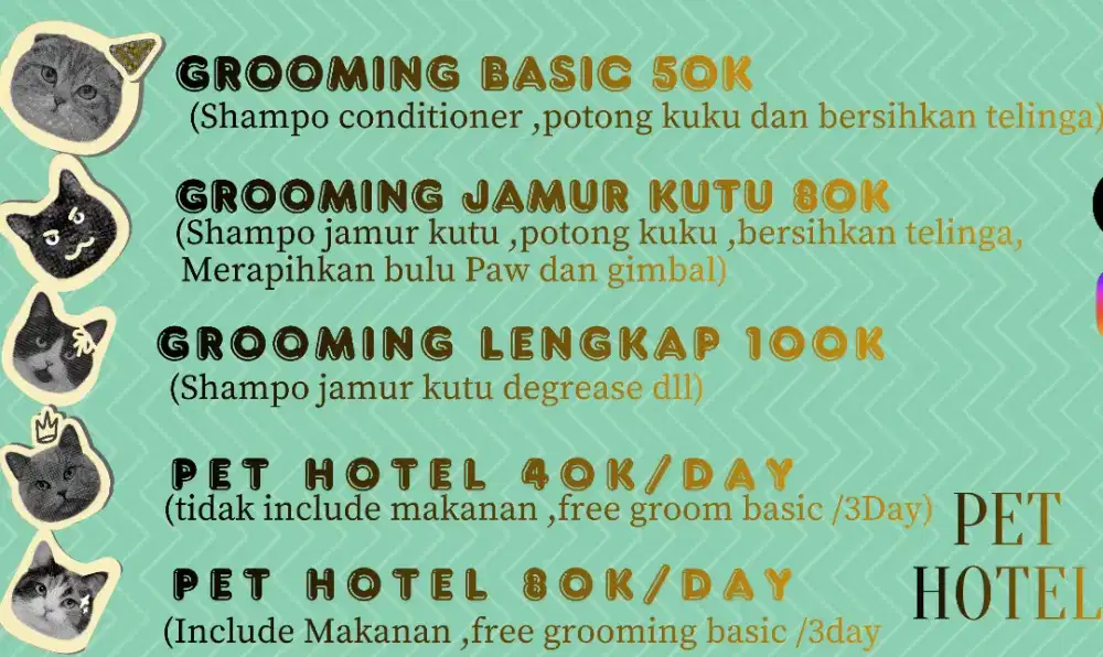 Grooming kucing