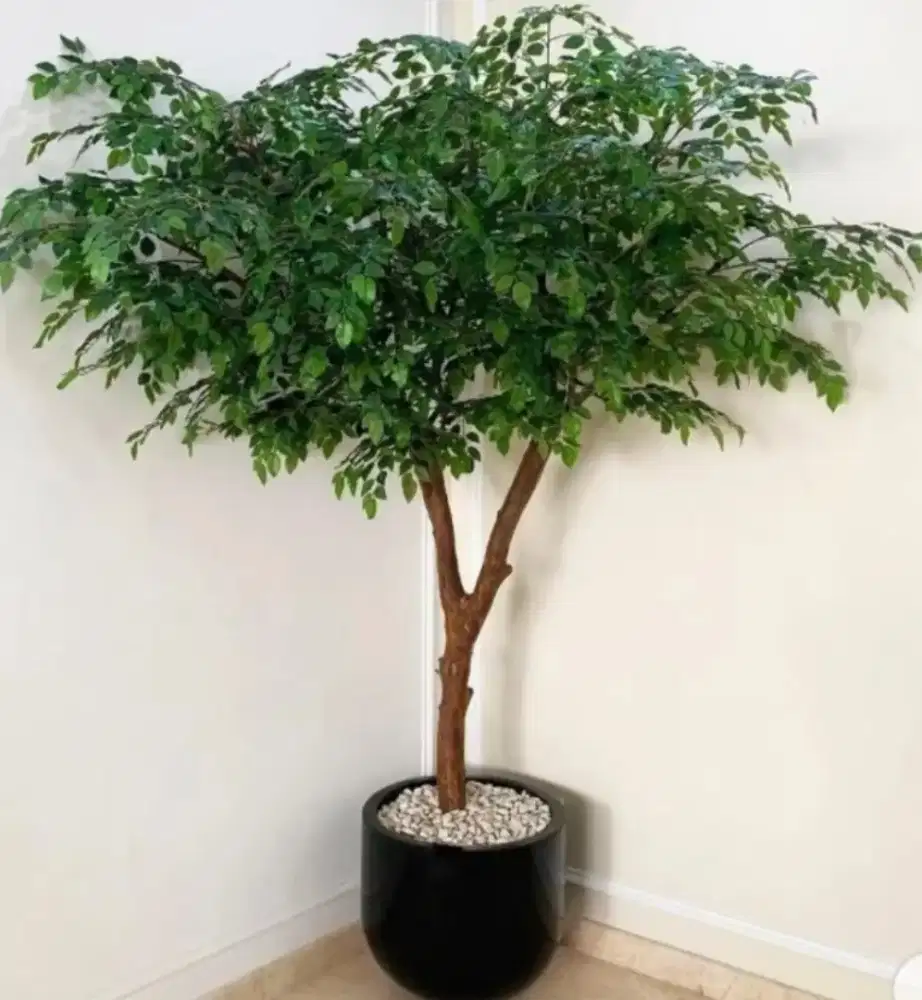 Pohon artificial bringin tinggi 3 merer