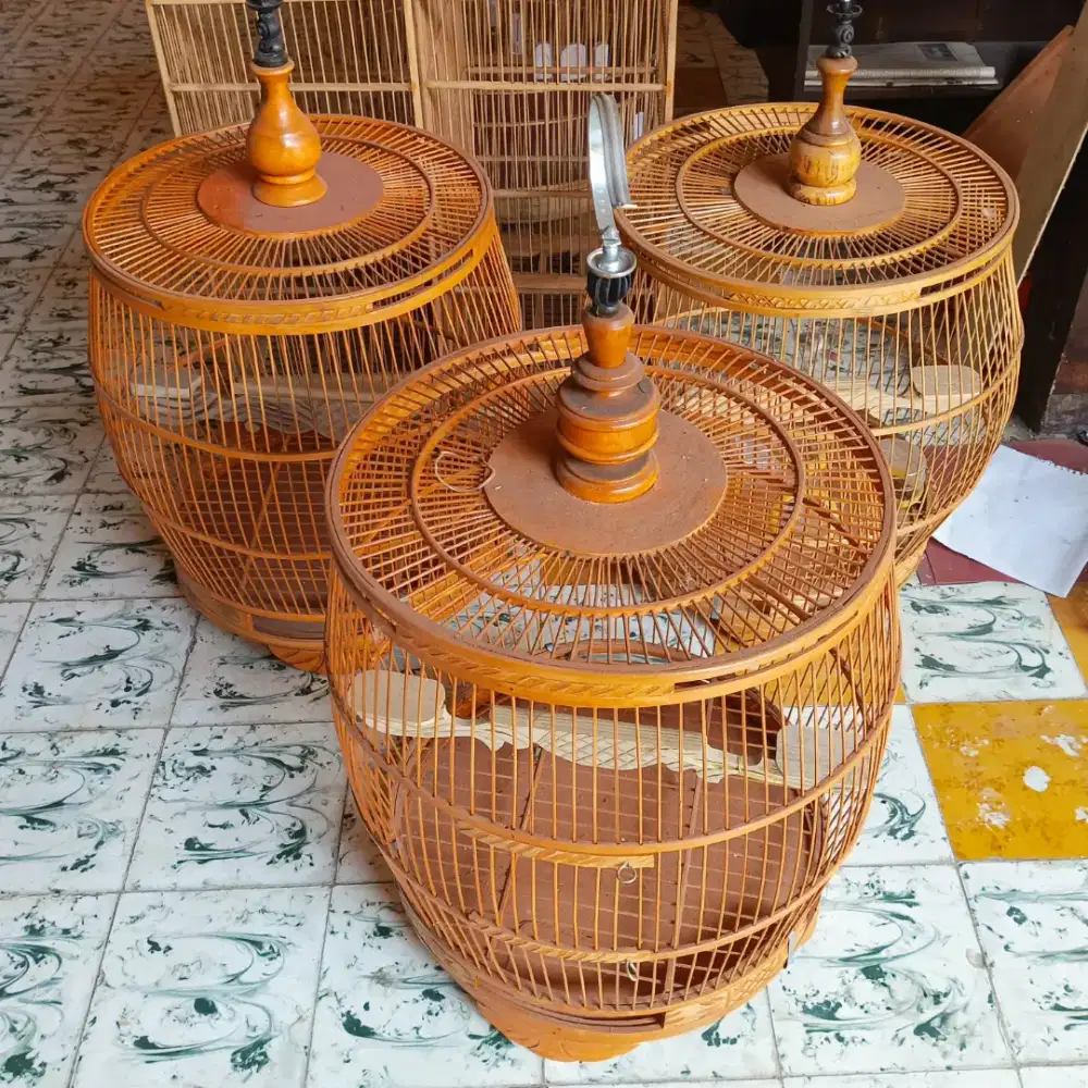 Kandang / sangkar puter deruk derkuku kutut perkutut