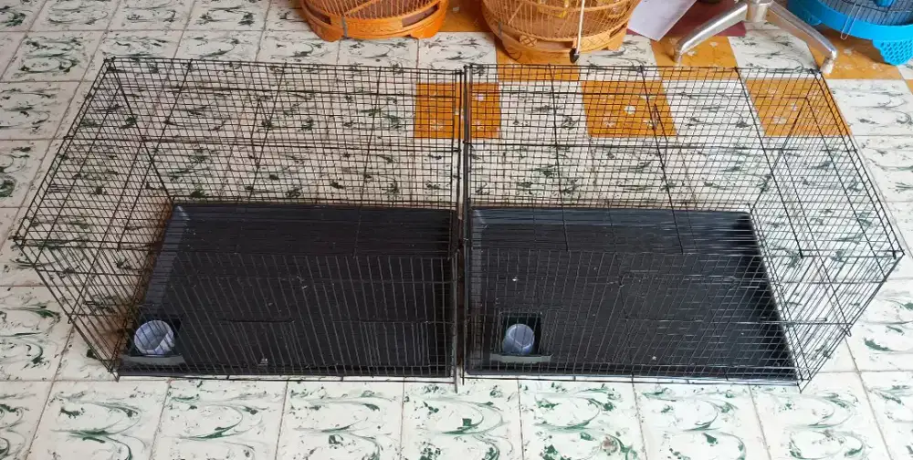 Kadang / sangkar besi kotak 60x40x40