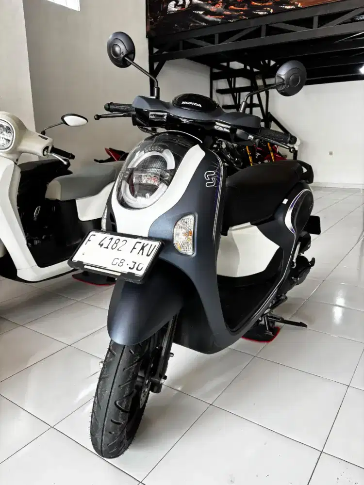 New scoopy unit mulus nominus