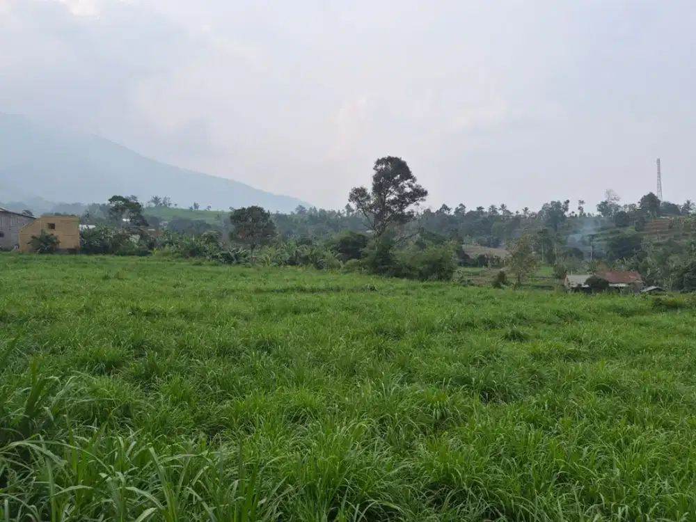 Dijual Tanah 3,5 hektar di Pamijahan, Bogor Barat