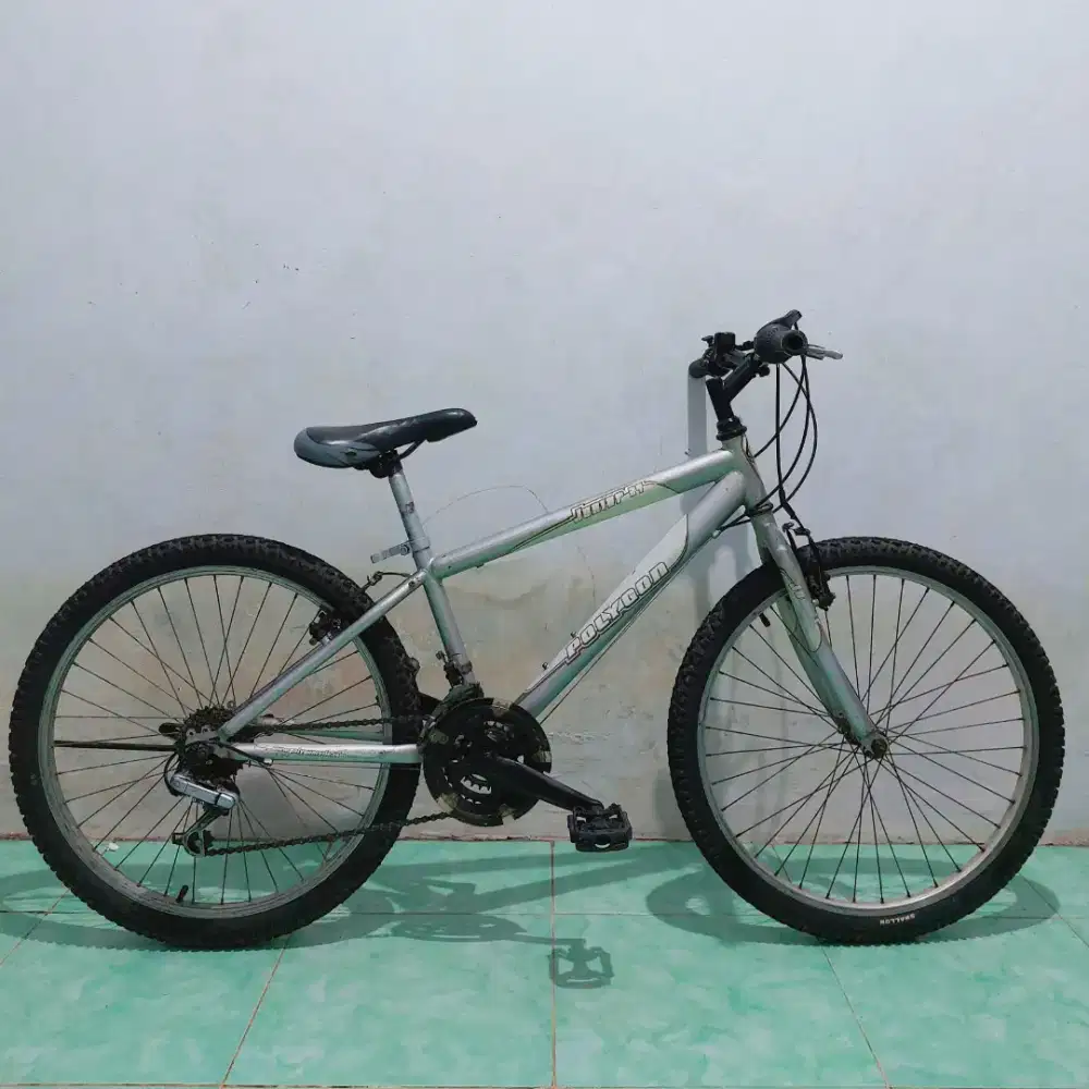 Sepeda Polygon Junior 24 Silver