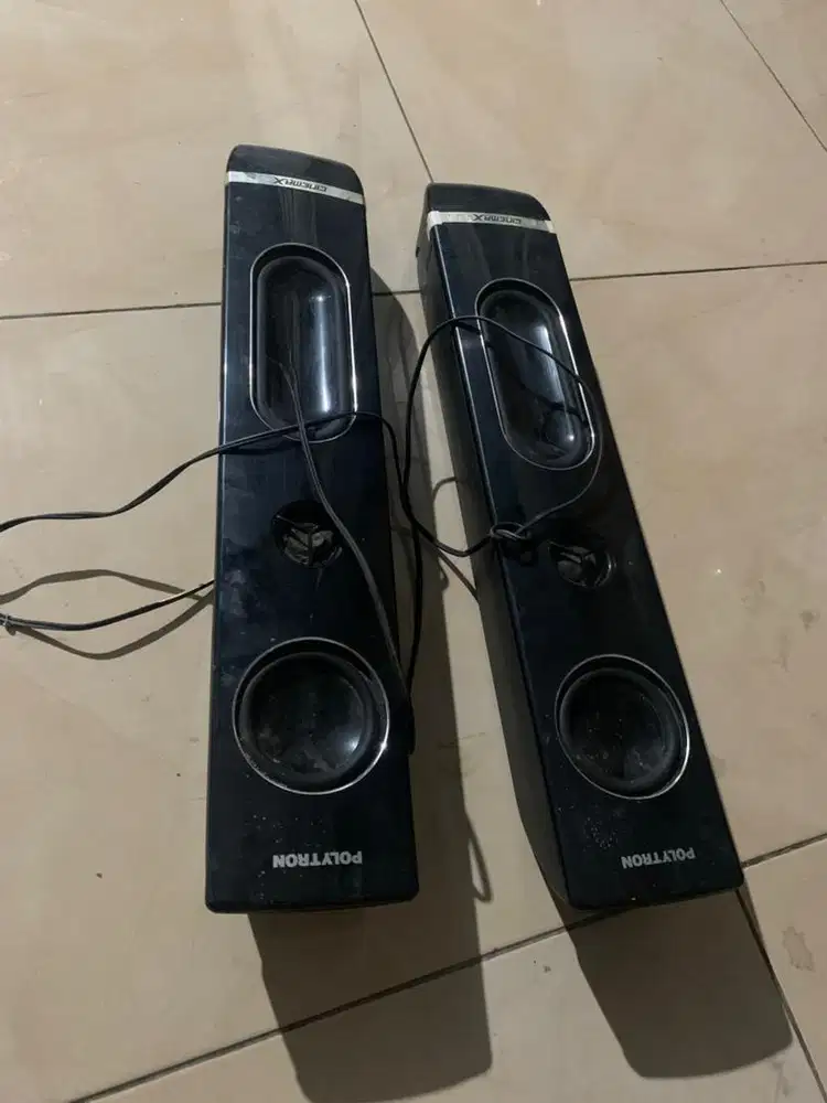 speaker polytron