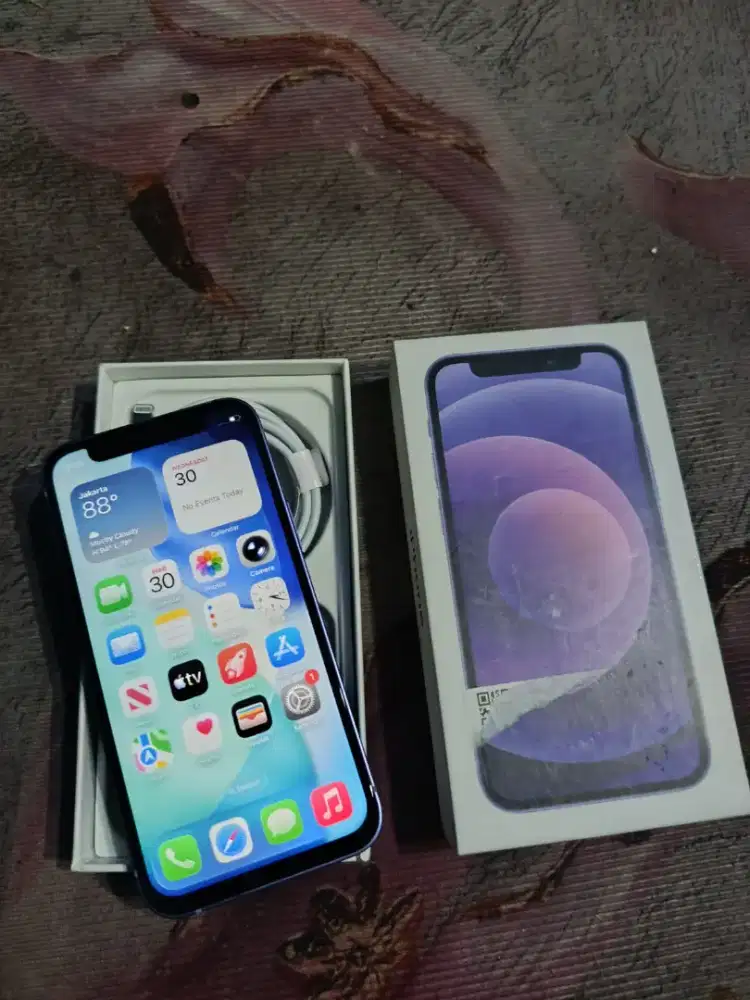 iPhone 12 Mini 64 GB All Operator