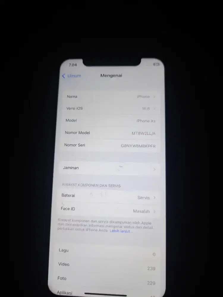 iPhone XS 64GB unit aja wifi only