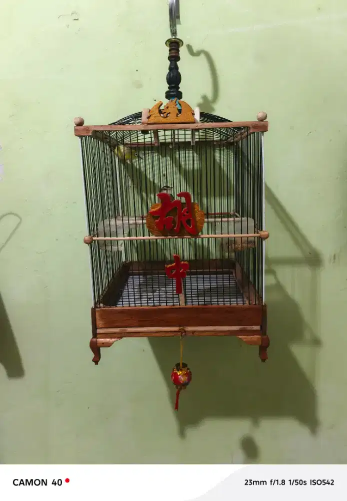 Sangkar burung buat pernjak pleci ciblek burung kecil