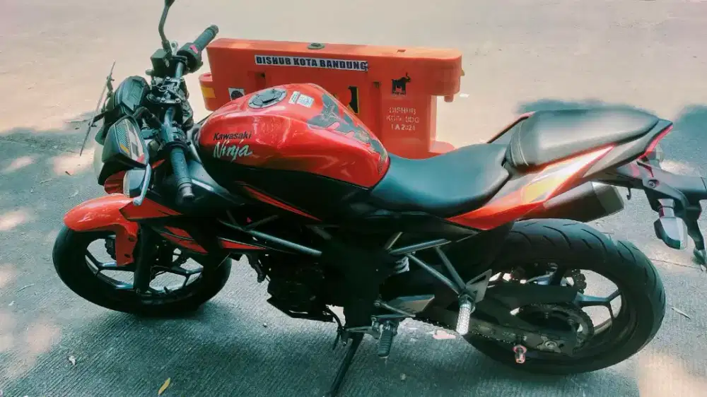 Kawasaki 250 CC mono
