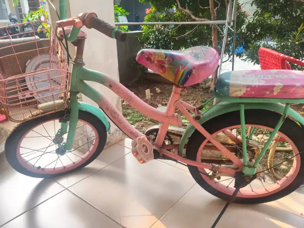Sepeda anak collins