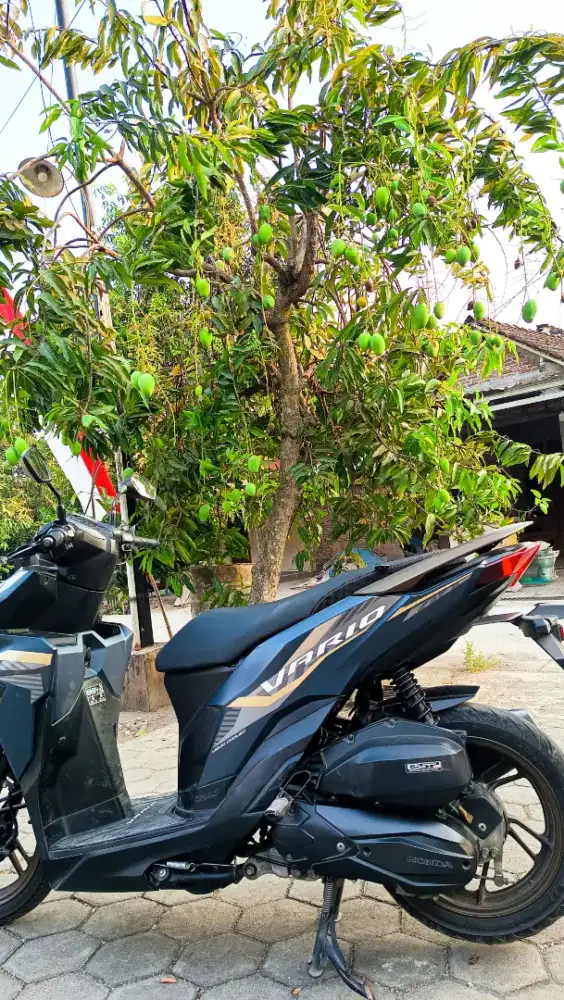 Motor Vario 125 Then 2023