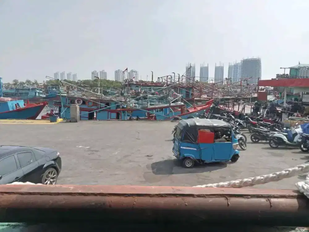 Butuh 2 tenaga kerja buat ABK kapal cumi