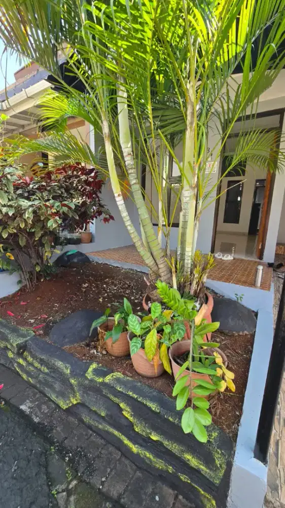 Dijual Rumah Idaman