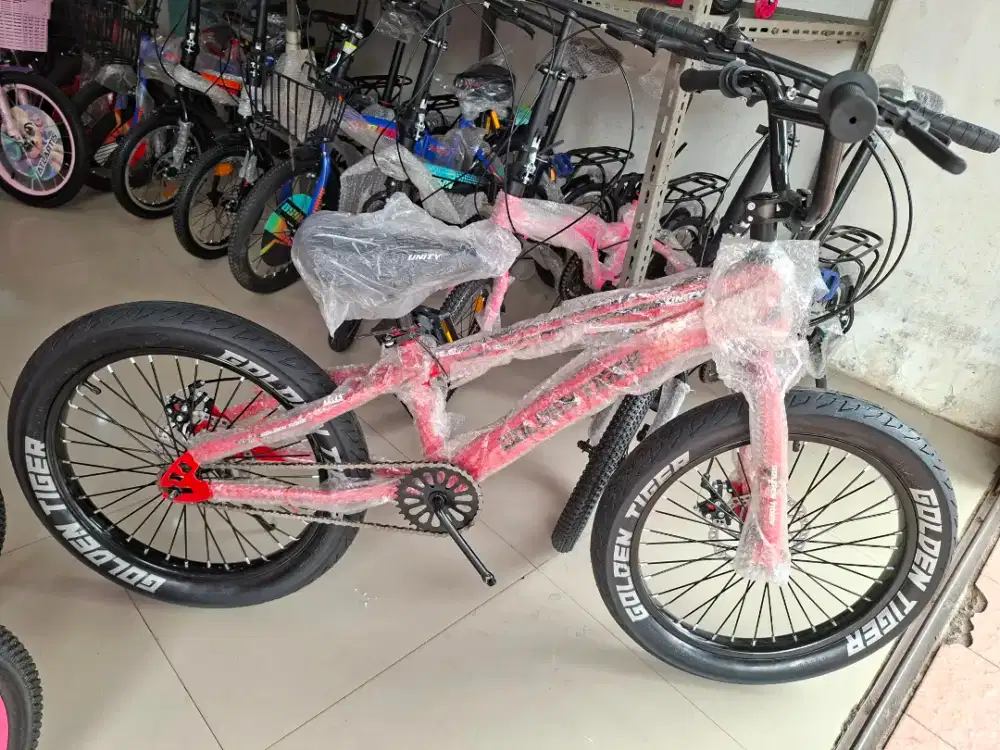 Sepeda BMX 20 Inch UNITY ( REM CAKRAM ) ( BAN JUMBO 3.0 )