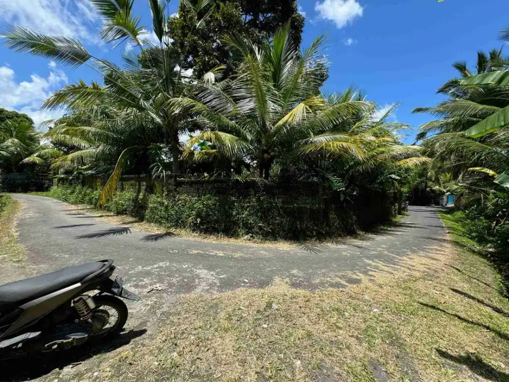 Tanah di Ubud dengan View Tebing dan Sawah