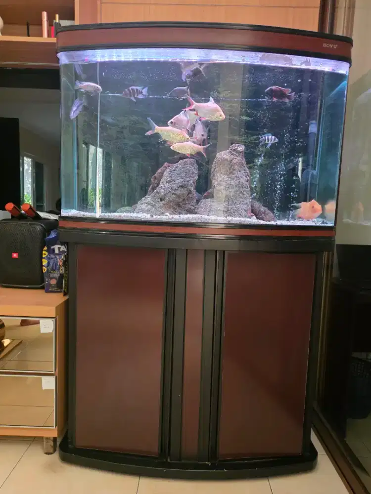 Aquarium dan Cabinet Satu Set Sama Ikan dan Filter Semua