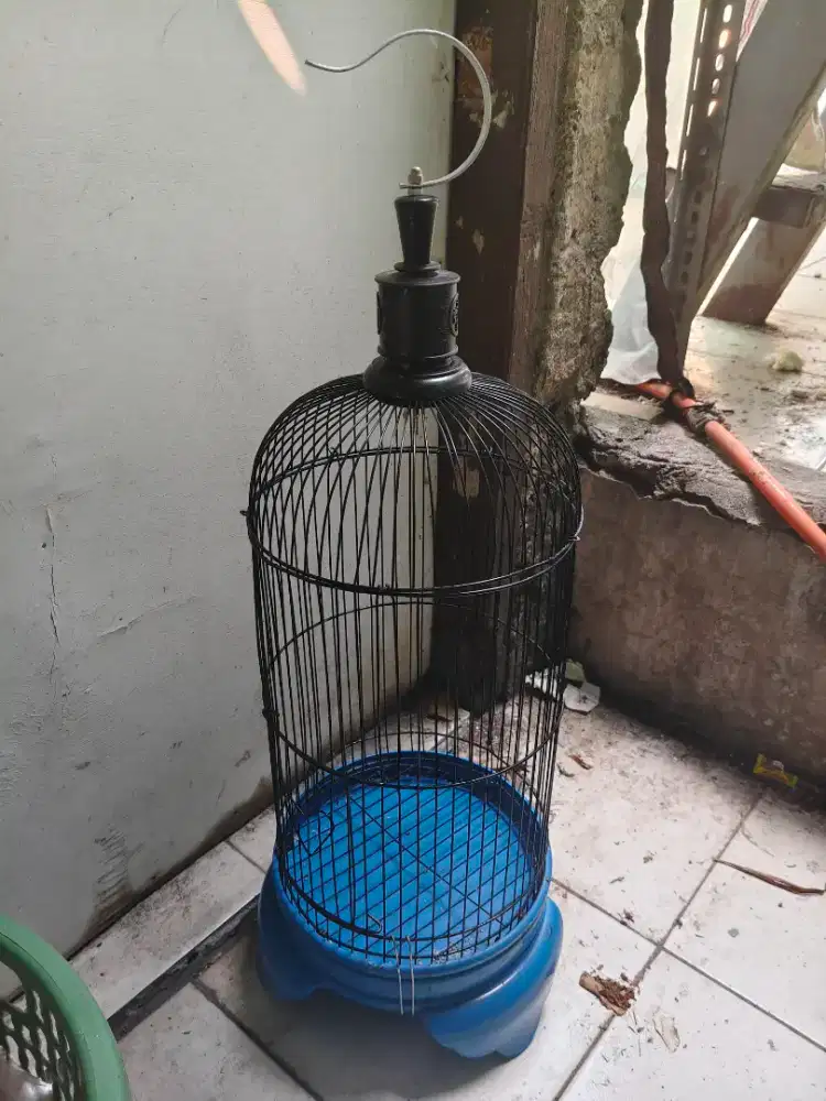 Kandang Burung Besi Love Bird