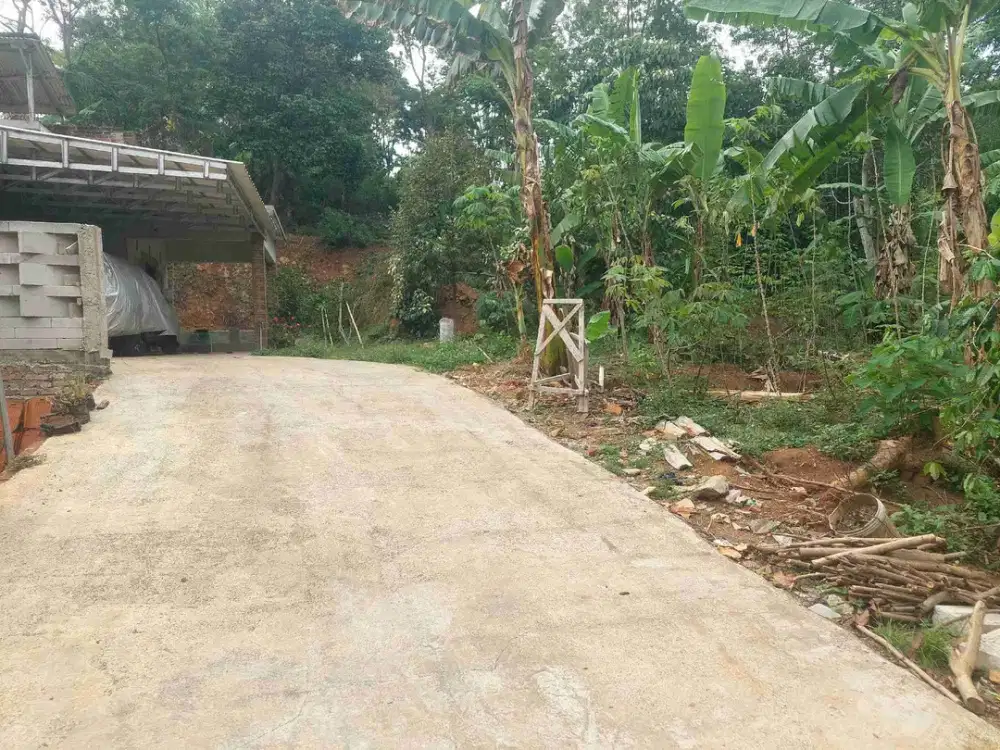 Tanah 30 tumbak, bisa beli 15 tumbak, masuk mobil.