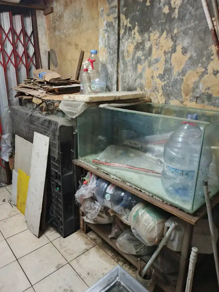 Aquarium dan rak besi