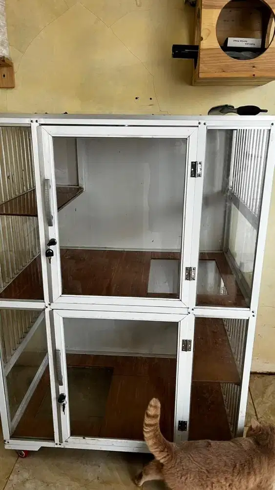 KANDANG KUCING KACA