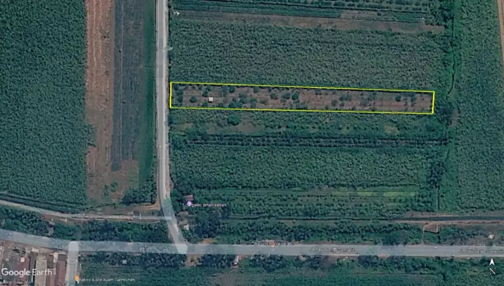 DI JUAL TANAH SAWAH