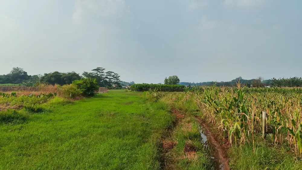 Tanah kaviling 200 meter