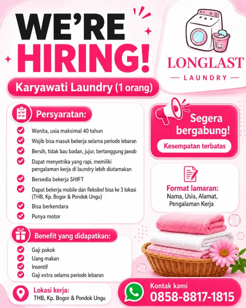 Dibuthhkan Laundry Crew