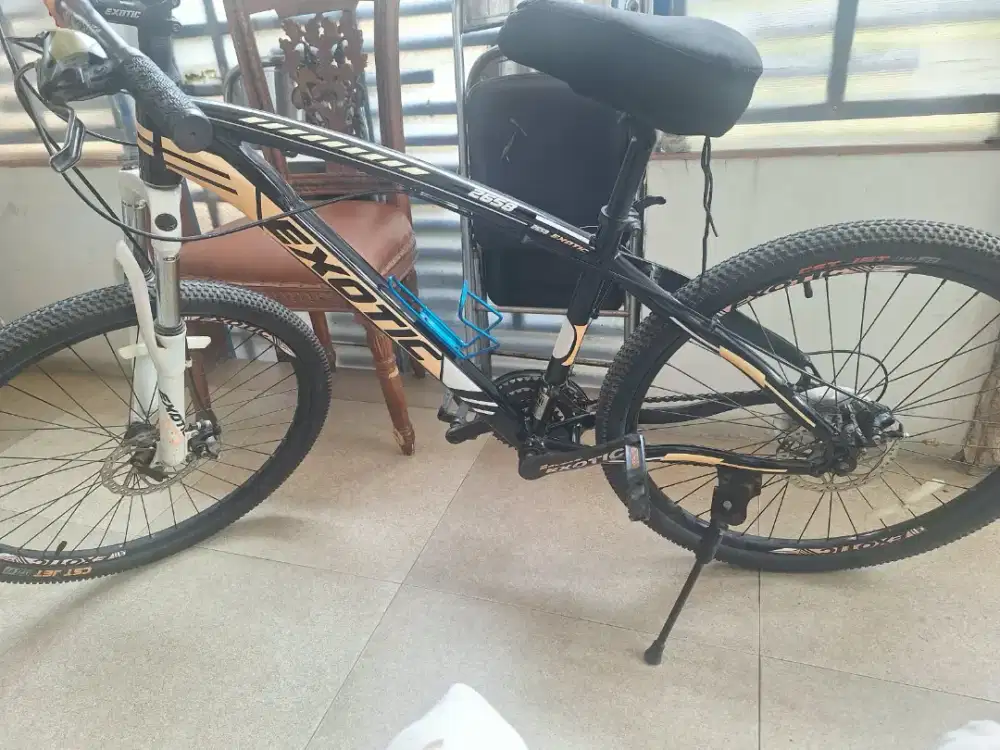 Sepeda exotic MTB 2658