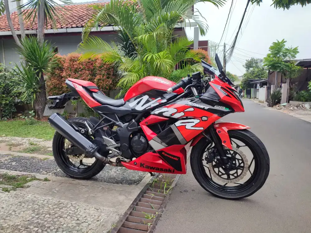 KAWASAKI NINJA MONO 250SL TAHUN 2014