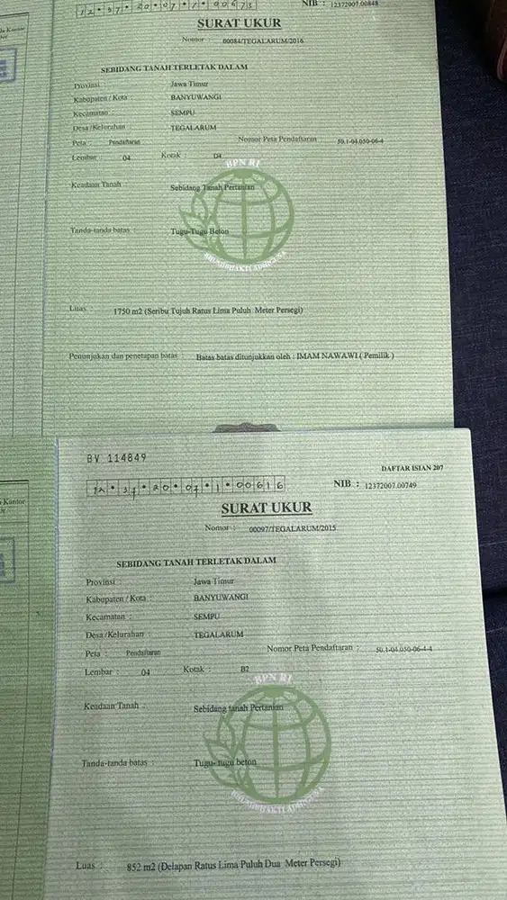 Dijual sawah daerah ranggon