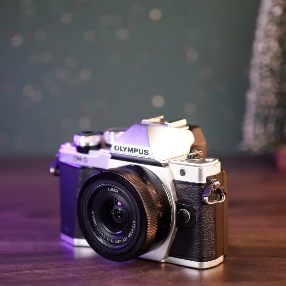 Olympus OMD EM10 MK2 Retro/Mirrorless Retro Premium