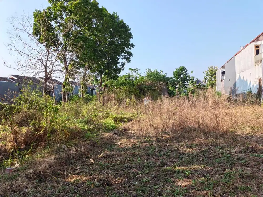 DIJUAL TANAH SAWAH PERKEBUNAN LOKASI STRATEGIS