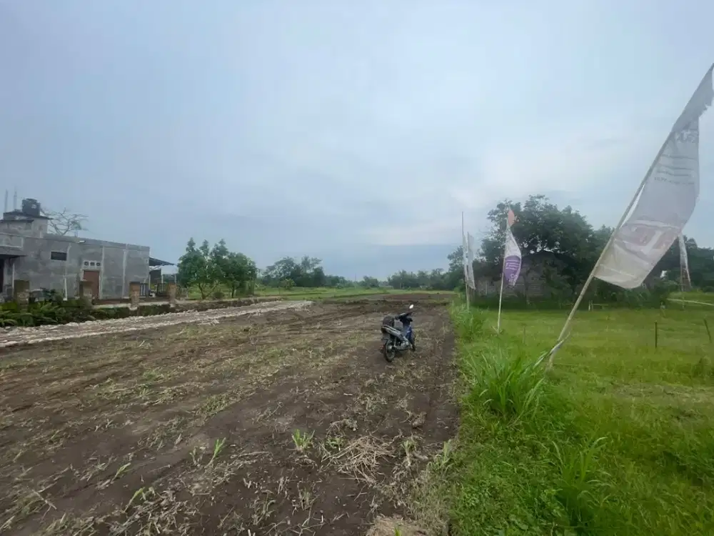 Tanah Jogja Utara Sleman City Hall Bisa Tempo 12X Flat Tanpa Bunga