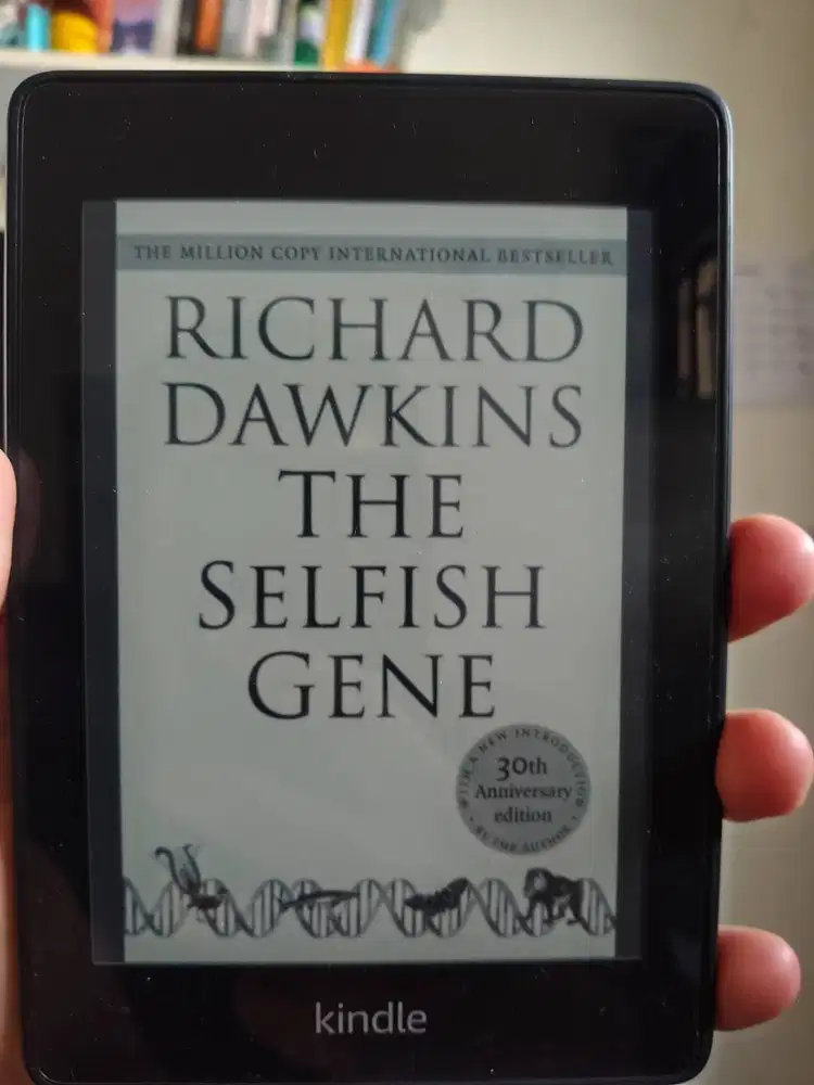 Kindle Paperwhite 10th Gen 8GB