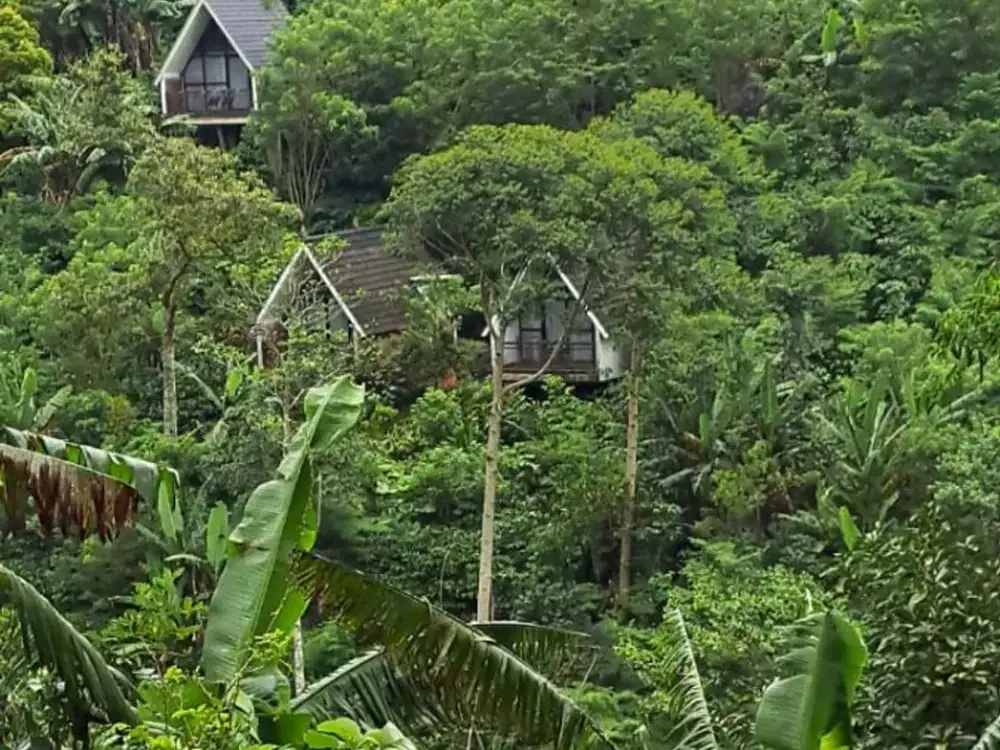 DIJUAL TANAH DI BANYUATIS, BULELENG – BALI