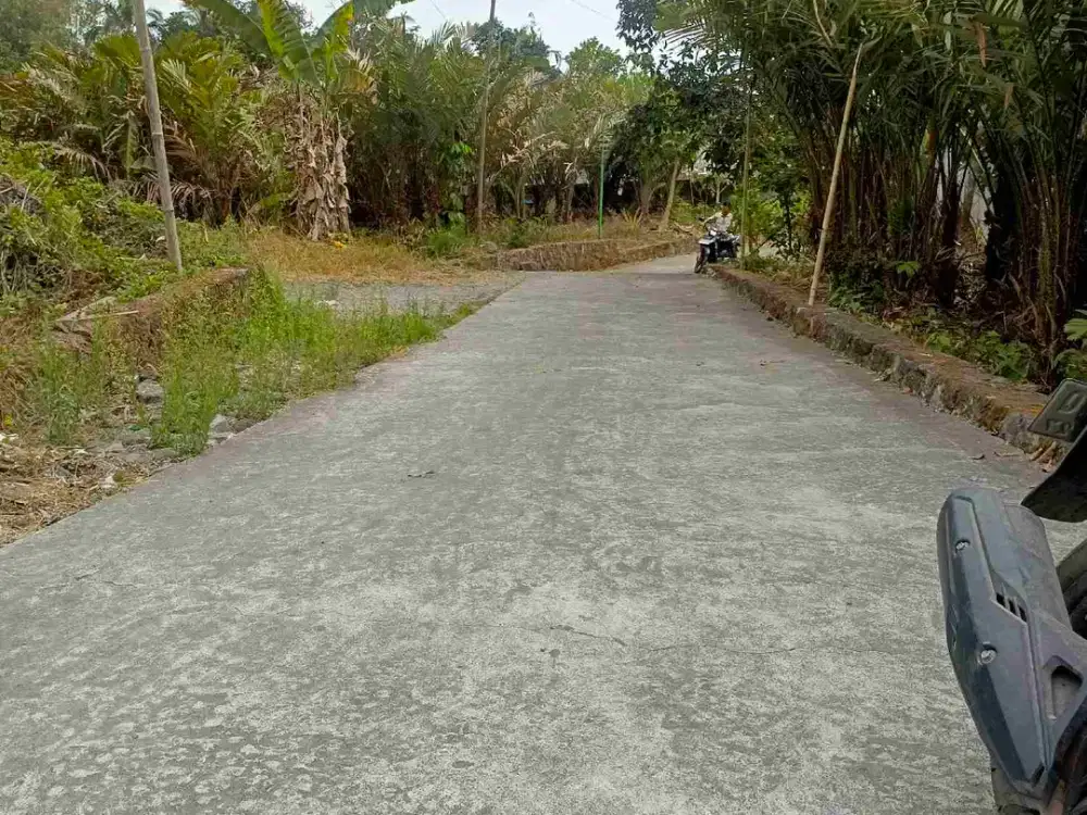 TANAH PAKEM PURWOBINANGUN JLN TURGO PAKEM