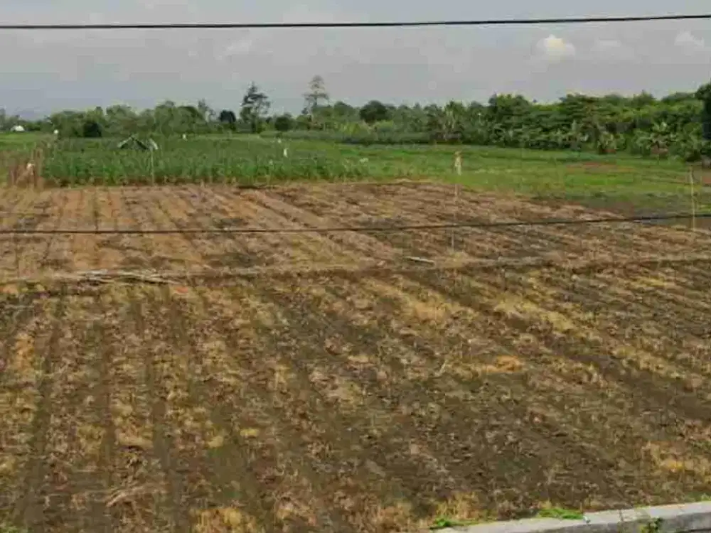 tanah ploting industri rata padat no urug jalan pantura tegal