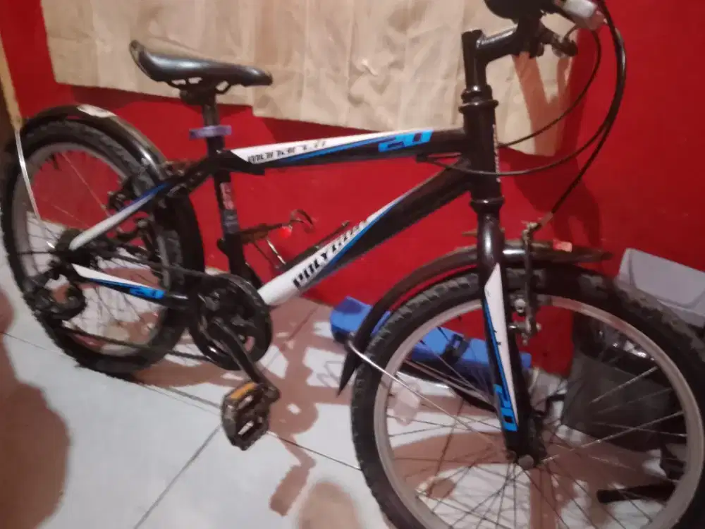 Sepeda Polygon march Anak