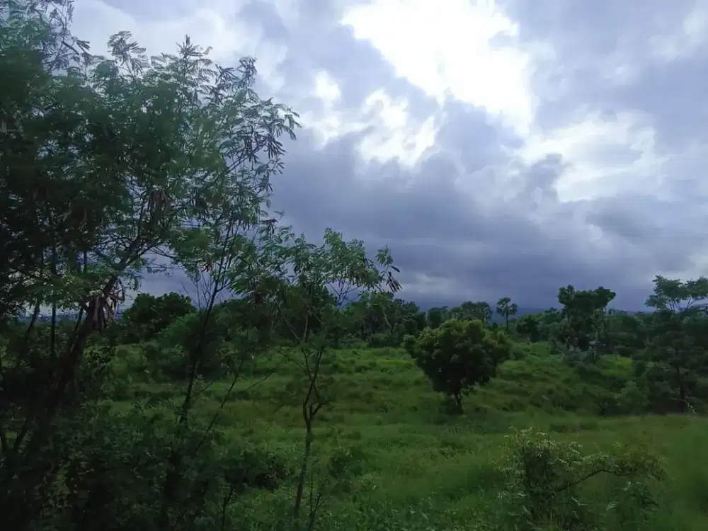 DIJUAL TANAH STRATEGIS DI KUBU, TULAMBEN, KARANGASEM – BALI