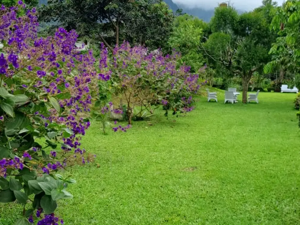 DIJUAL TANAH 6,7 HEKTARE BESERTA VILLA PRIBADI DI TEPI DANAU BUYAN, BULELENG – BALI