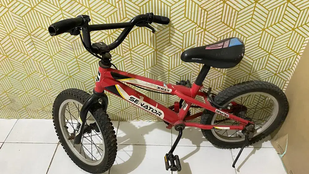 Sepeda anak laki2