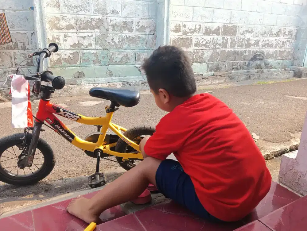 Jual sepeda anak