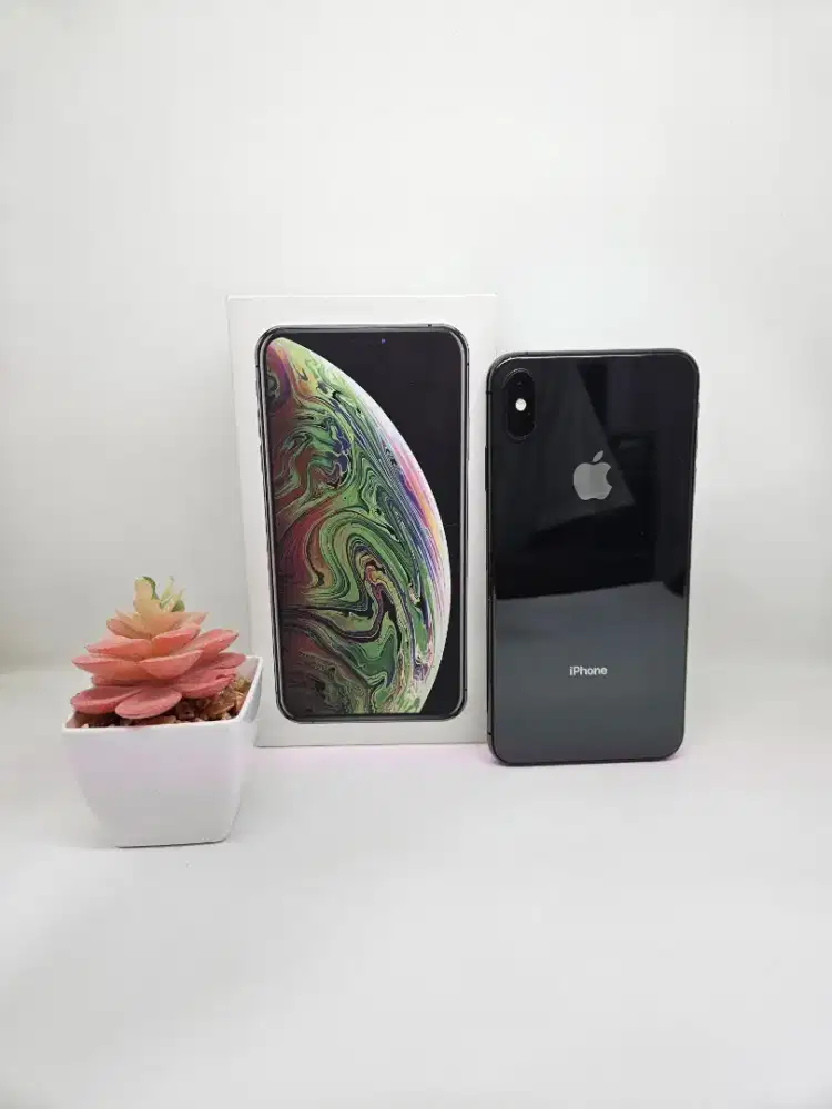 iPhone XS Max 256 BH 100% (Black) Fullset Ex-Intern