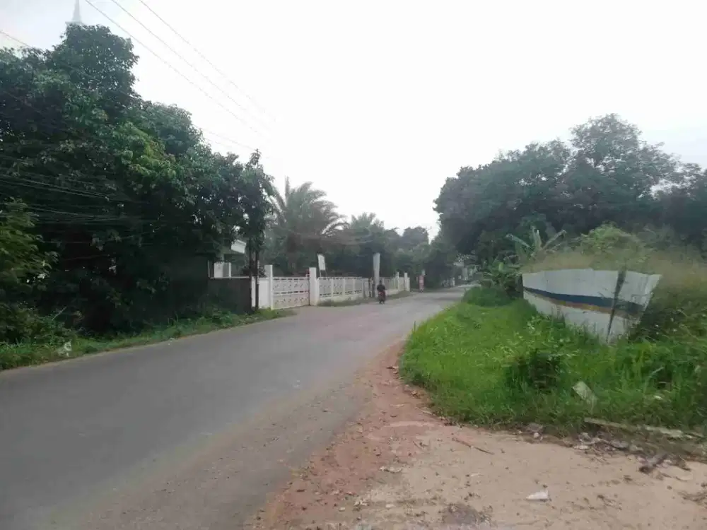 Dijual murah! Lahan strategis akses jalan besar setu cileungsi