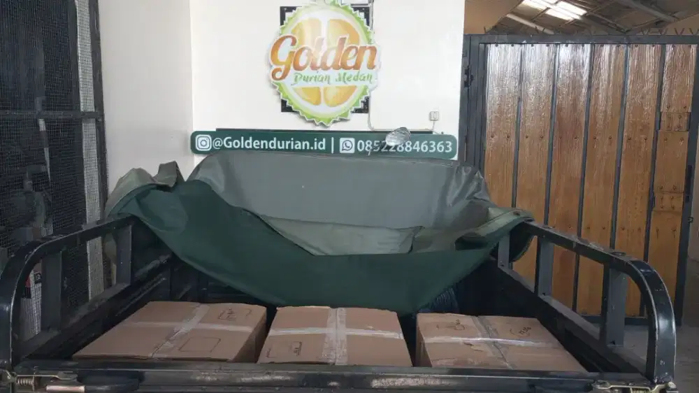 Produsen Daging Durian Premium