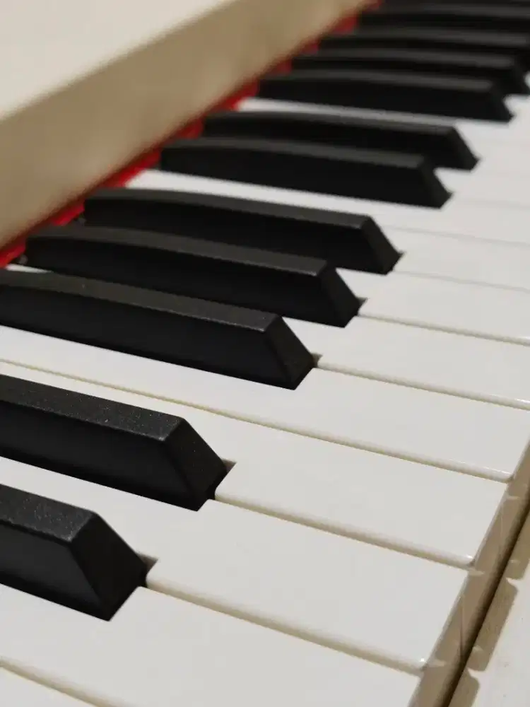 Enya Nova go Sonic (senar elixir)Piano - Wolfstrom lh100
Sepaket