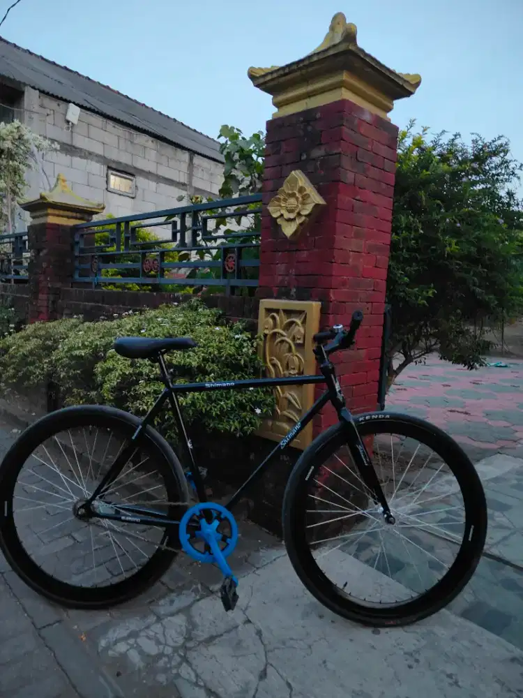 Fixie Lokal Torpedo
