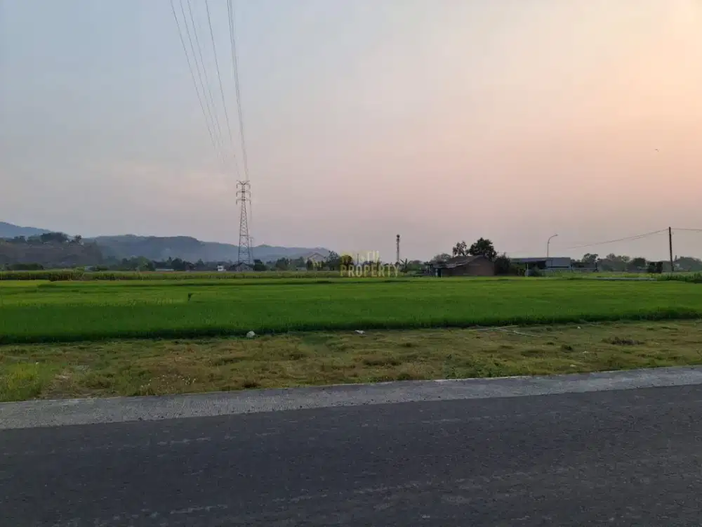 Tanah Pertanian Murah di Piyungan, Dekat Candi Abang Jogja