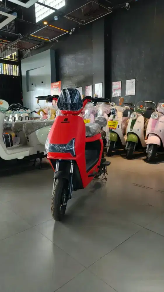 PASIFIC ZEKROM 300