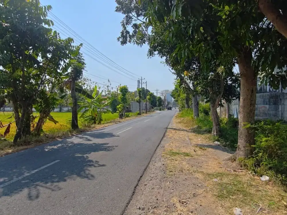 Tanah Murah Pinggir Jalan Mojo Tasikmadu, Zona Merah, Luas 14.243 m², Mulai 1 Juta/m²