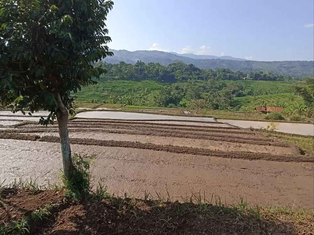 Dijual Tanah Ciaro Nagreg NEGO sampai JADI [ID 824]
